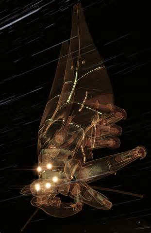 Harbinger