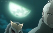 Moon halves