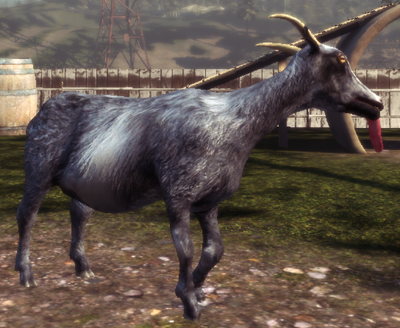 Pilgor Goat Simulator