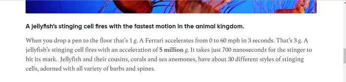 Fast Jelly's
