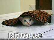 Is it over yet-380x285