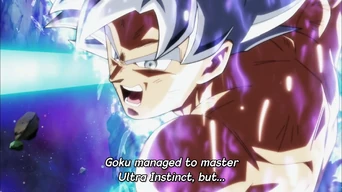 Mastered ultra instinct