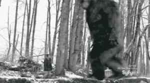 Stomp 3