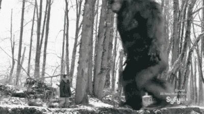 Stomp 3