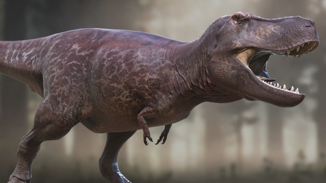 most accurate t rex reconstruction