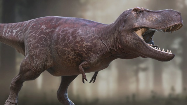 realistic rex