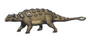 Ankylosaurus magniventris reconstruction Ankylosaurus magniventris reconstruction