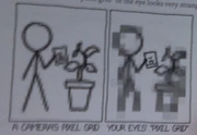 How to camera