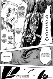 Bleach-4920415