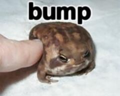 Frog bump