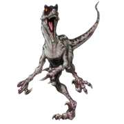 Velociraptor Render By Skodwarde