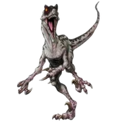Velociraptor Render By Skodwarde