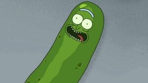 Im-pickle-riiiiick
