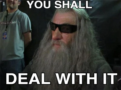 Dealwithit-gandalf