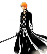 FullbringBankai