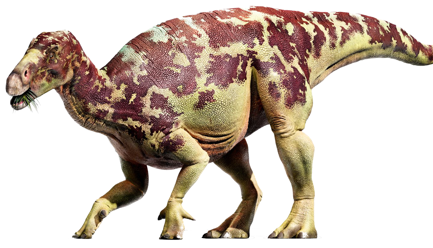 Iguanodon | VS Battles Wiki | Fandom