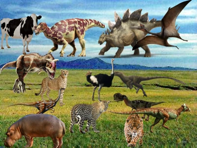 Animal battle royale Animal battle royale