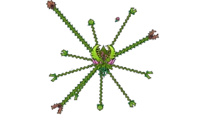 Durrplant Durrplant