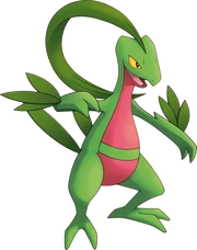 473px-253Grovyle PMD Explorers