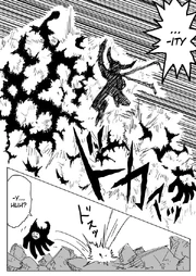 Opm81 Opm81