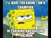 Immapokechamp Immapokechamp