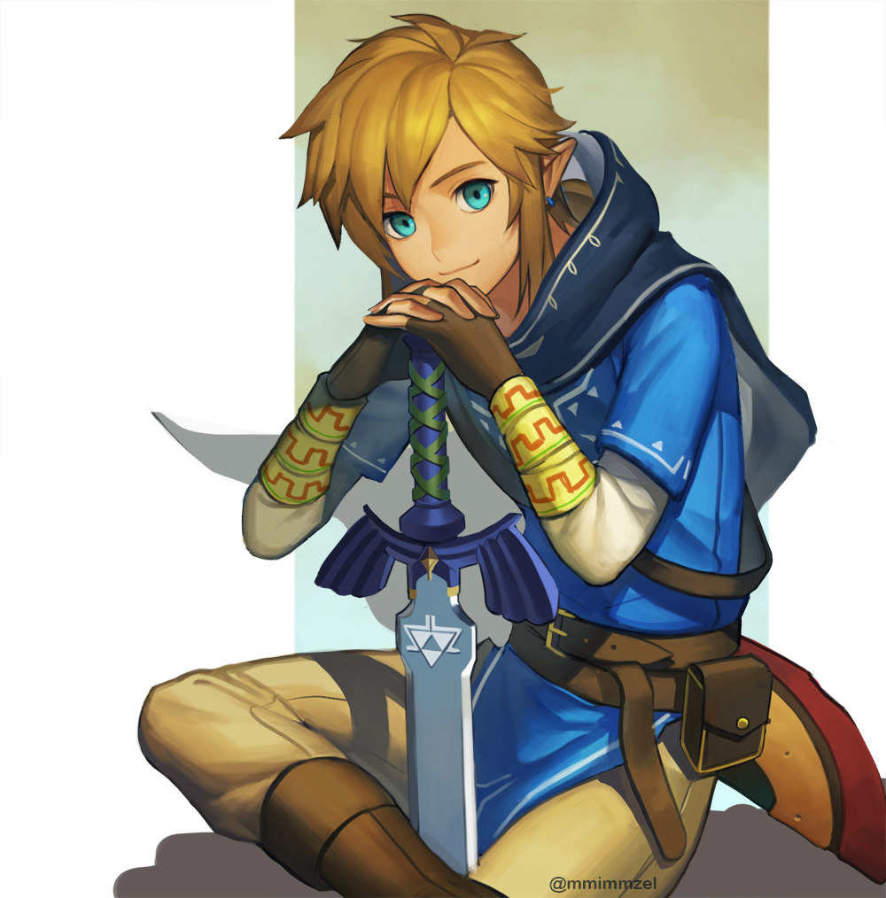 Link (Breath of the Wild), VS Battles Wiki