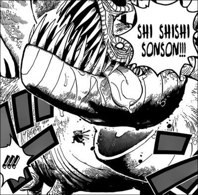 Zoro dragonslayer Zoro dragonslayer