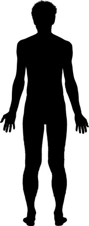 Body-outline-clipart-free-40