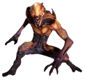 IMP