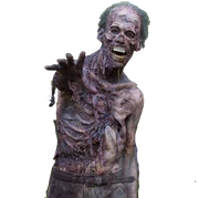 Walker TWD