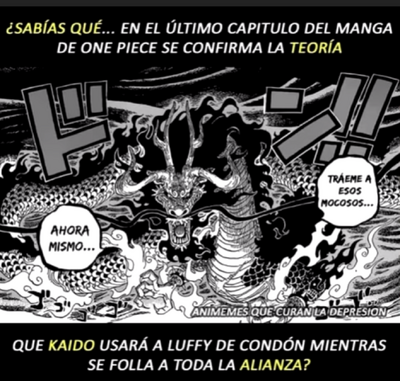 Luffy condon