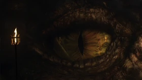 DragonTL