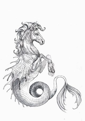plural of hippocampus mythology