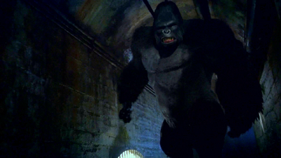 Grodd