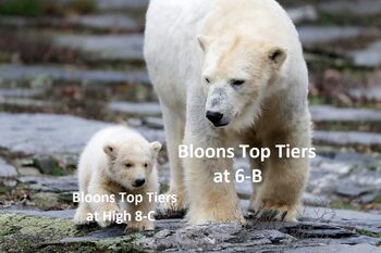 BloonsTopTiers
