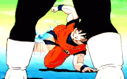 Stop. Goku Time.