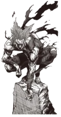PossibleKeyImageForGarou