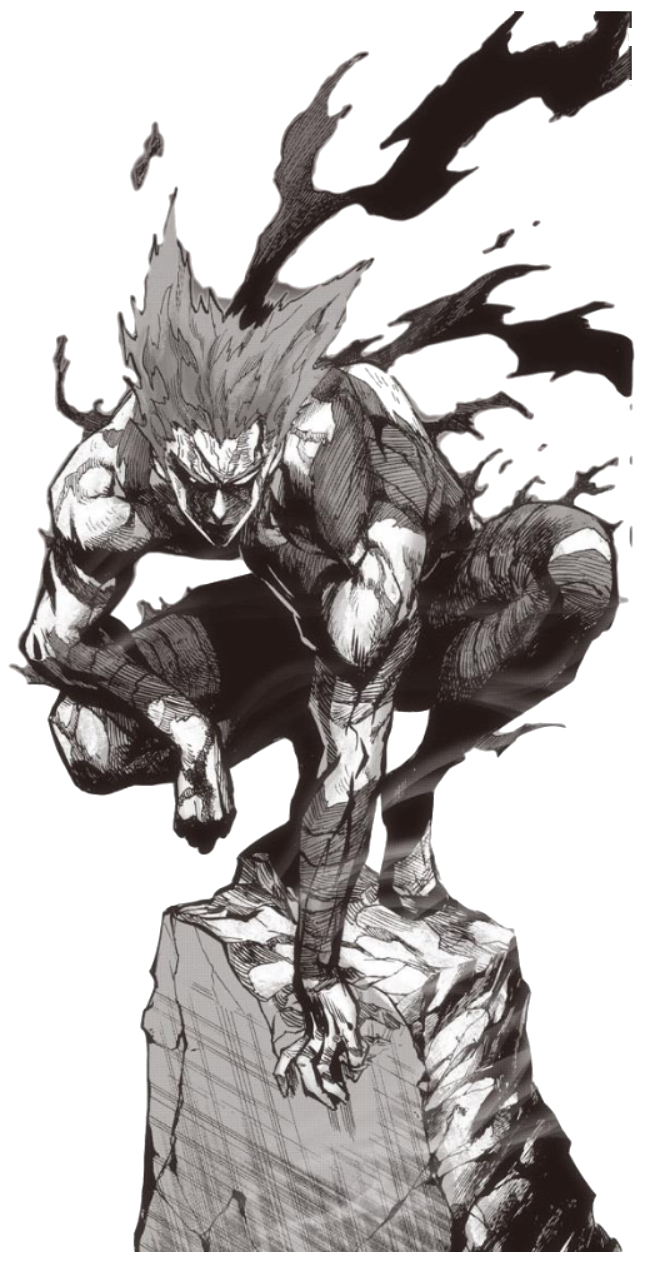 Garou Introduction Arc, One-Punch Man Wiki