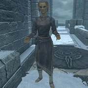 600px-SR-npc-Faralda