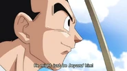 Can't See Goku 4 Can't See Goku 4