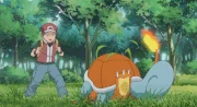 Pokemon origins