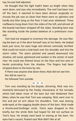 Tornado scene 5