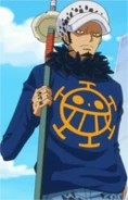 Trafalgar D. Water Law Anime Post Timeskip Infobox