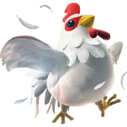 Cucco