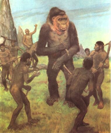 Gigantopithecusvshomoerectus