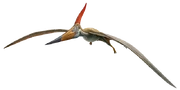 Pteranadonrender