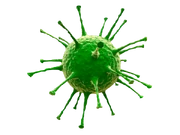 Virus-VERT-PSD