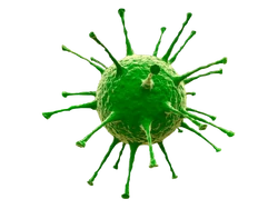Virus-VERT-PSD