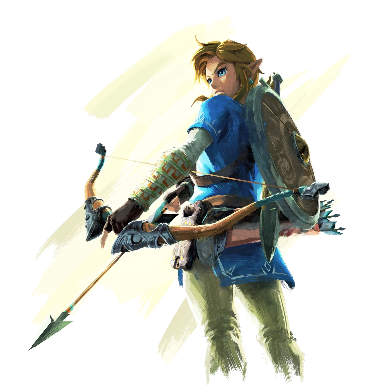 world of nintendo botw link