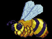Queen bee